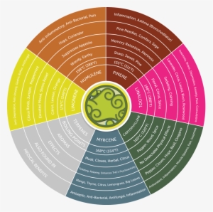 Of Scents Coming From The Next Jar Of Bud You Open - Cannabis Terpene Effect