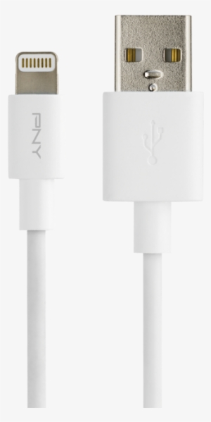 /data/products/article Large/883 20170203114249