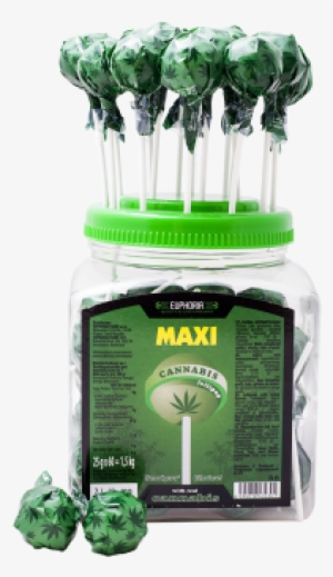 Cannabis Maxi Lollipops Jar - Lollipop