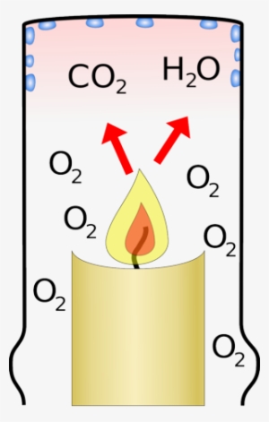 The Water And Carbon-dioxide Rises - Burning Of Candle Is A Chemical Change