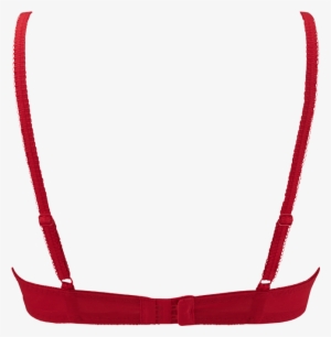 Bra Back Png