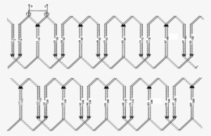 Winding Distribution Diagram Of Path A 1 Of Phase A - Stator