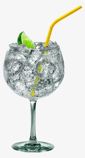 Gordon's Perfect G & T