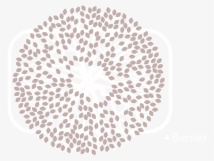 Surround Application - Magazine