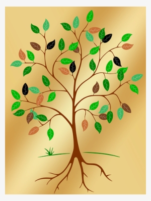 Tree, Root, Leaves, Contour - Tree Of Life Png