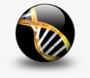 What Do You Think Is The Meaning Of This Magic Dna - Applications Of Magnetotactic Bacteria