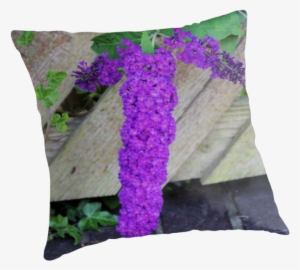 Purple Pleasure" Throw Pillows By Francis Drake - Cushion