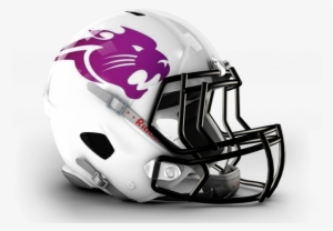 Brighton Panthers Seek New Head Coach - Nfl Stars War Helmet