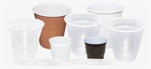 In Addition To Being 100% Recyclable, They Can Be Disposed - Cup