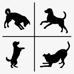 Frolic & Play Pet Sitting - Dog