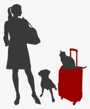 Pet Sitting - 2009 Mtv Video Music Brazil