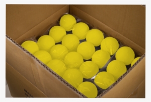 Harrow Lacrosse Balls - Harrow Lacrosse Balls - Case Quantity