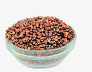 Encuéntralas Aquí En Nuestra Mesa En El Marketplace - Heirloom Red Popcorn