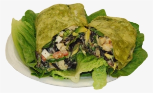 Vegetarian Wrap - Drawing