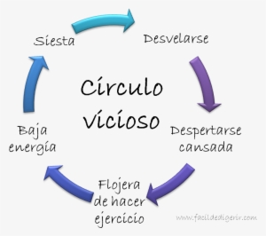 Circulo-vicioso - 5 Elements Of Financial Statements