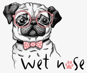 Wet Nose Boxes Come With All Natural Dog Treats And - Pug With Sunglasses Drawing