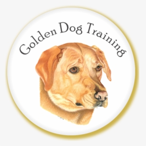 How Their Dog's Mind Works - Website