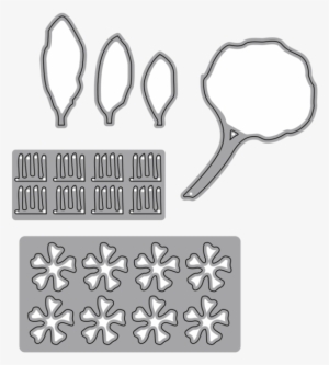 Garden Notes - Rhododendron - Rhododendron