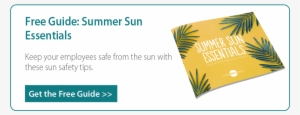 Summer Sun Safety Guide - Flyer