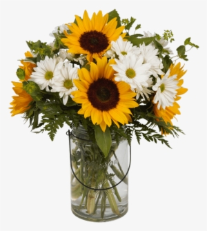 Summer Sun - Product