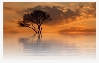 Sun, Sunset, Summer, Nature, Dusk, Scenic, Late Summer - Senja Png