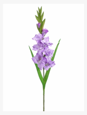 6" Gladiolus Spray Lavender - Tall Gladiolus Flower Bouquet