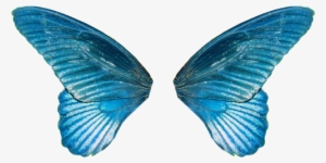 #крылья Бабочки - Png Blue Fairy Wing