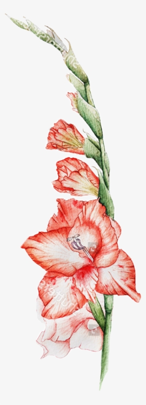 Report Abuse - Flower