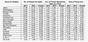 Performance Of Gladiolus Cultivars On No - Große 1x1 Mit Lösung