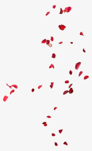 Blowing Rose Pedals - Rose Leaves Flying Png