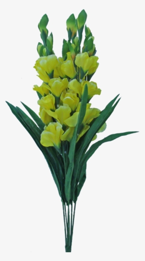 28” Deluxe Gladiola Bush Yellow - Yellow Iris