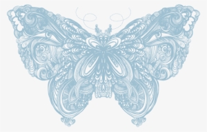 Butterfly Faded Www Wingsblue - American Painted Lady