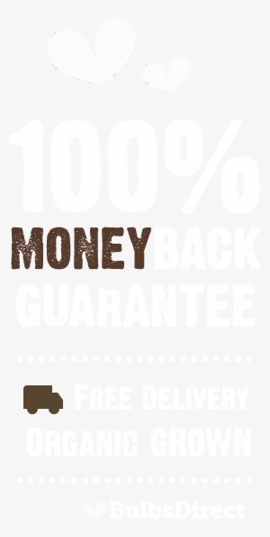 Buy Plants And Bulbs Safe Wuth Guarantee Online - Practical Guide To Success In Network Marketing