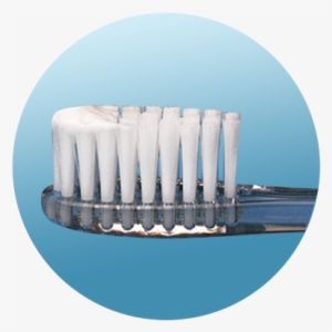 Smear Amount Up To Age - Child