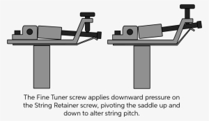 Floyd Rose Fine Tuner Diagram - Diagram