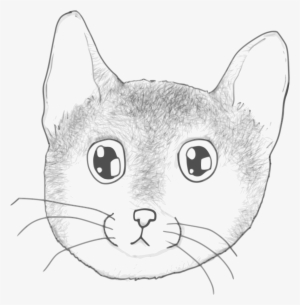 This Free Icons Png Design Of A Stripped Kitten Face