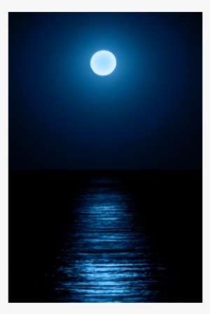 Moon - Night Of The Moonflower [book]