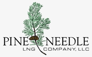 Pine Needle Logo Png Transparent - Pine Needles Long Vector