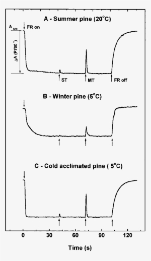 In Vivo Measurements Of The Redox State Of P700 In - Diagram