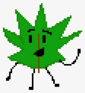 Pine Needle - Portable Network Graphics