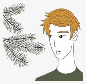 Pine Needles - Illustration