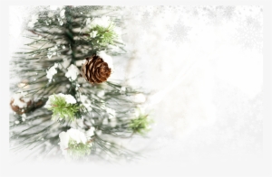 Parent Directory - Sveikinimai Kaledu Ir Naujuju Metu Proga