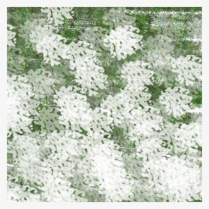 Pineneedles02 - Grass