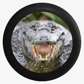 On September 2nd, Yg Entertainment Announced Their - Ygkplus