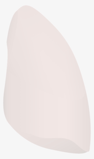 Right Side Of A Human Lung - Lung