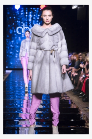 5 - Portable Network Graphics