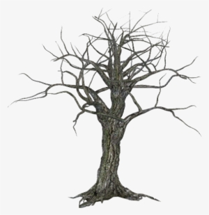 Tree-042 - Tree