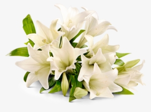 Place - Rest In Peace Flower Png