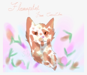 Flower Petal - Cat Yawns