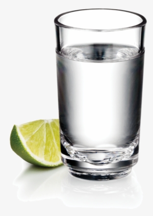 Elite Shot Glass 2 Oz - Drinique Elite 2 Oz. Shot Glass